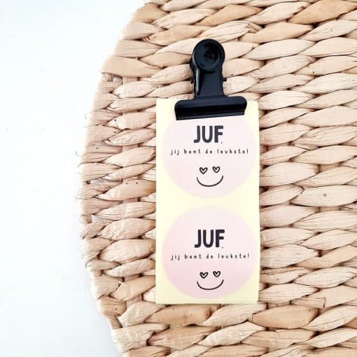 Juf, jij bent de leukste | Rol van 250 stickers